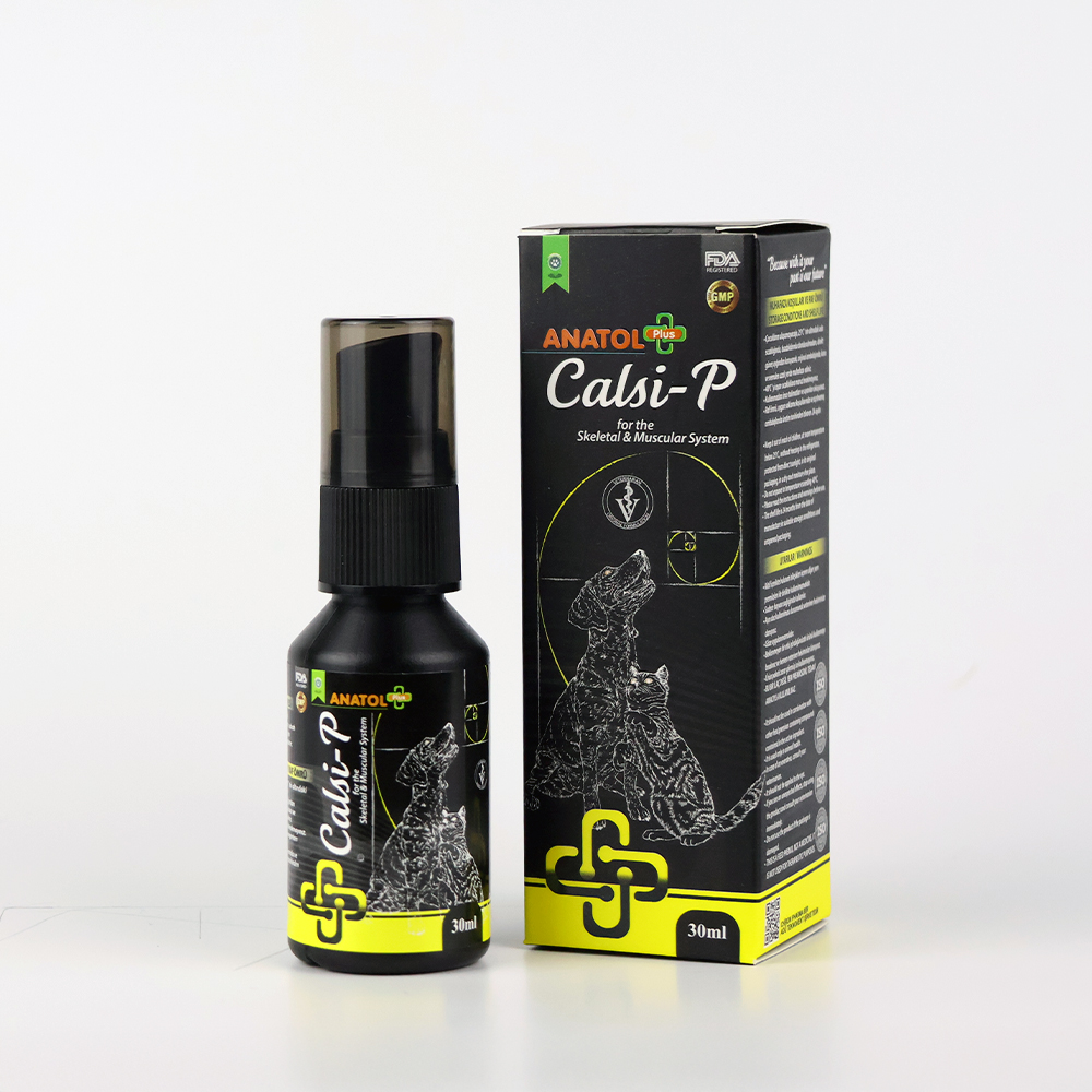 Calsi-P