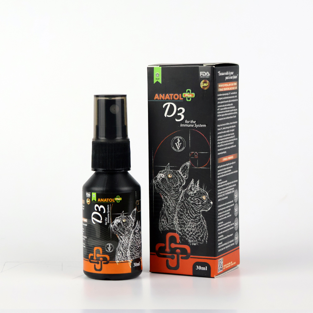 D3